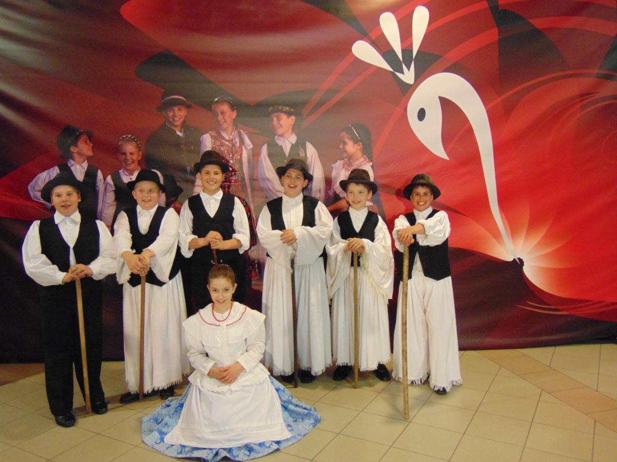 http://www.psmkobecse.org.rs/0/aktivnosti/picture/429/szarvas0.jpg