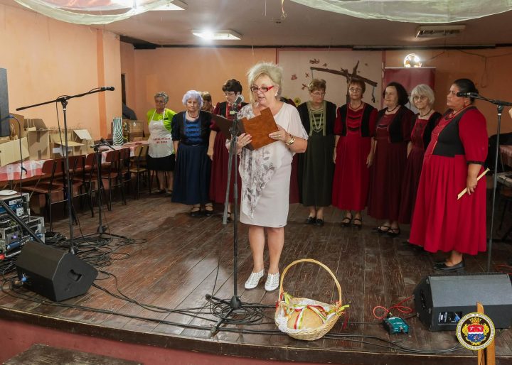 FALUNAP DREÁN-A Petőfi kultúrkör tagjainak fellépése